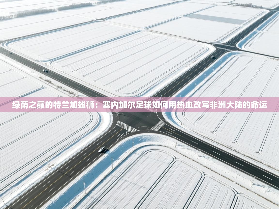 绿荫之巅的特兰加雄狮：塞内加尔足球如何用热血改写非洲大陆的命运