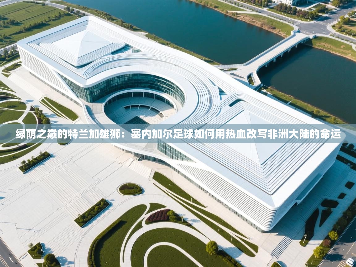 绿荫之巅的特兰加雄狮：塞内加尔足球如何用热血改写非洲大陆的命运