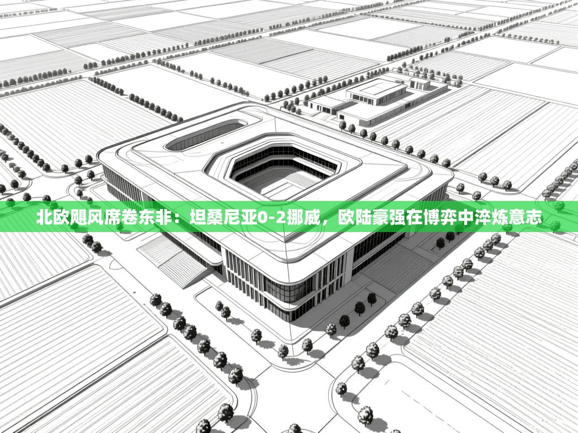 北欧飓风席卷东非：坦桑尼亚0-2挪威，欧陆豪强在博弈中淬炼意志  第1张