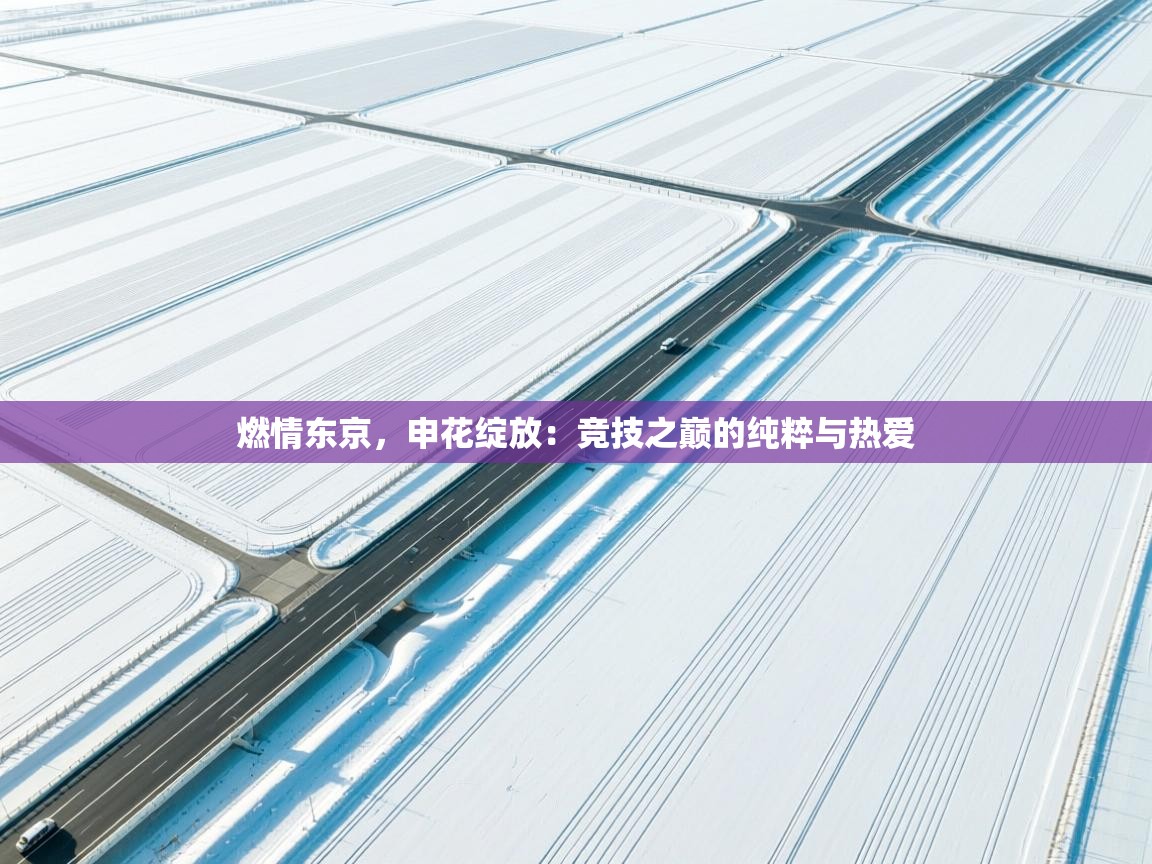 燃情东京，申花绽放：竞技之巅的纯粹与热爱