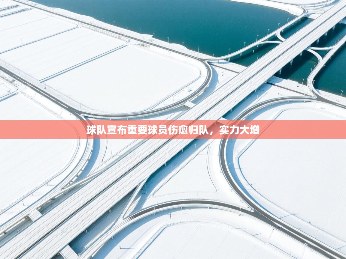 球队宣布重要球员伤愈归队，实力大增