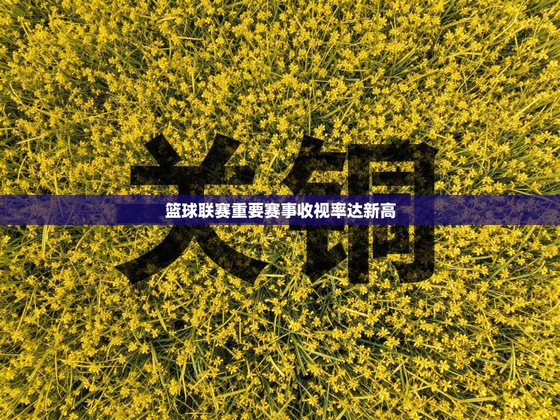 篮球联赛重要赛事收视率达新高