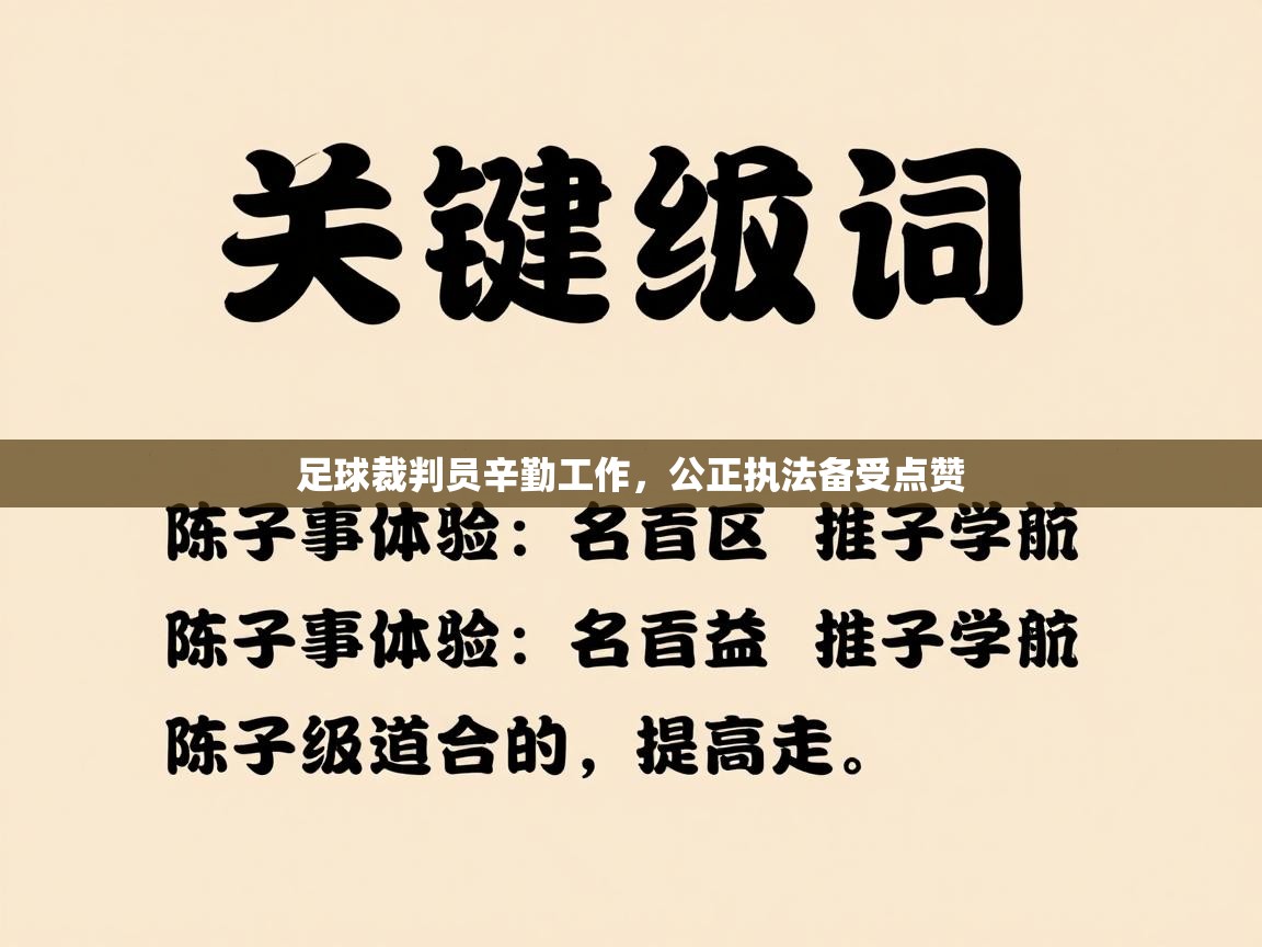 足球裁判员辛勤工作,公正执法备受点赞